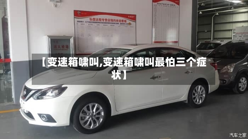 【变速箱啸叫,变速箱啸叫最怕三个症状】-第2张图片