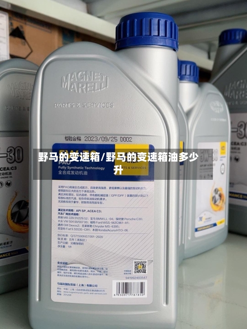 野马的变速箱/野马的变速箱油多少升