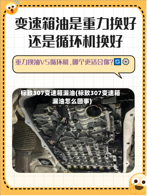 标致307变速箱漏油(标致307变速箱漏油怎么回事)-第2张图片