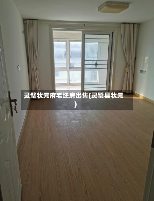 灵璧状元府毛坯房出售(灵璧县状元)-第3张图片