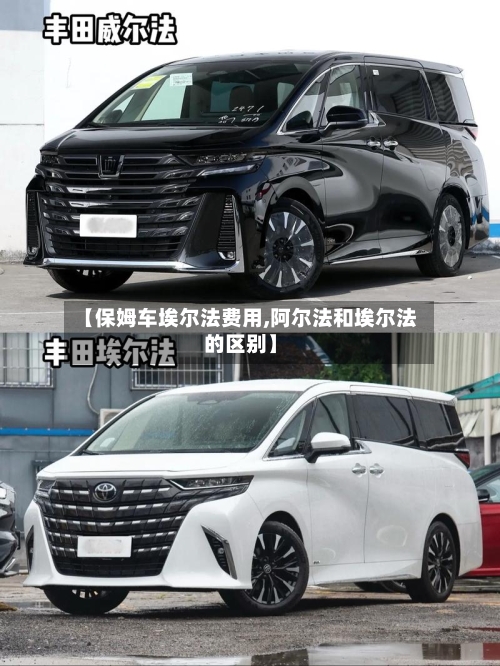 【保姆车埃尔法费用,阿尔法和埃尔法的区别】