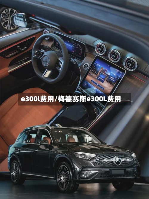 e300l费用/梅德赛斯e300L费用-第2张图片