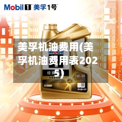 美孚机油费用(美孚机油费用表2025)-第3张图片