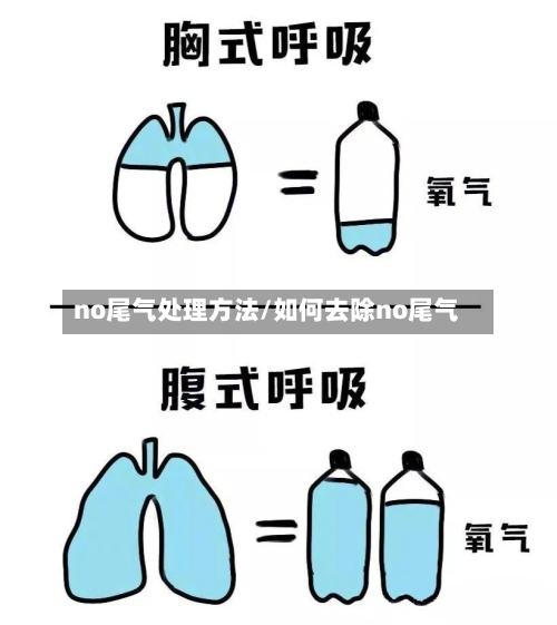 no尾气处理方法/如何去除no尾气-第3张图片