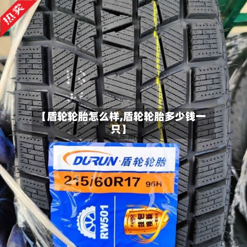 【盾轮轮胎怎么样,盾轮轮胎多少钱一只】