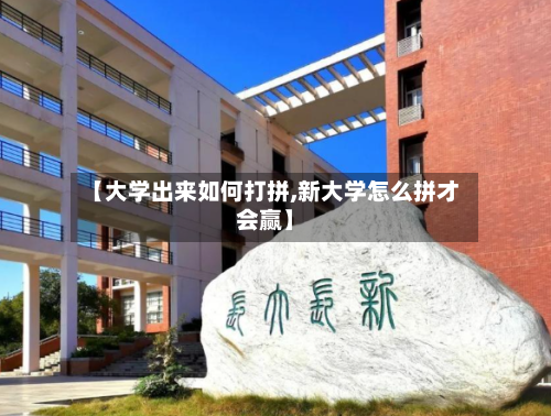 【大学出来如何打拼,新大学怎么拼才会赢】-第2张图片