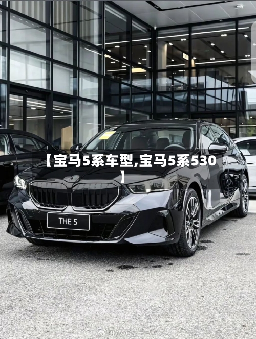 【宝马5系车型,宝马5系530】
