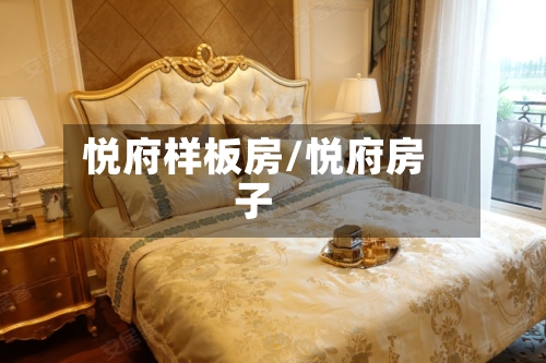 悦府样板房/悦府房子