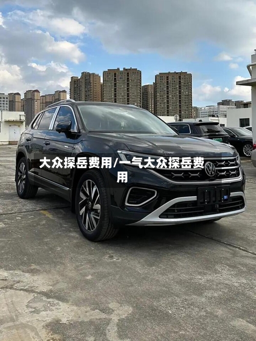 大众探岳费用/一气大众探岳费用