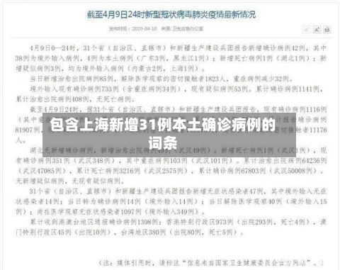 包含上海新增31例本土确诊病例的词条