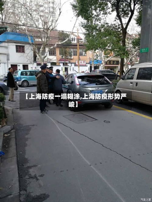【上海防疫一塌糊涂,上海防疫形势严峻】-第2张图片