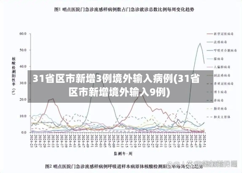 31省区市新增3例境外输入病例(31省区市新增境外输入9例)-第3张图片
