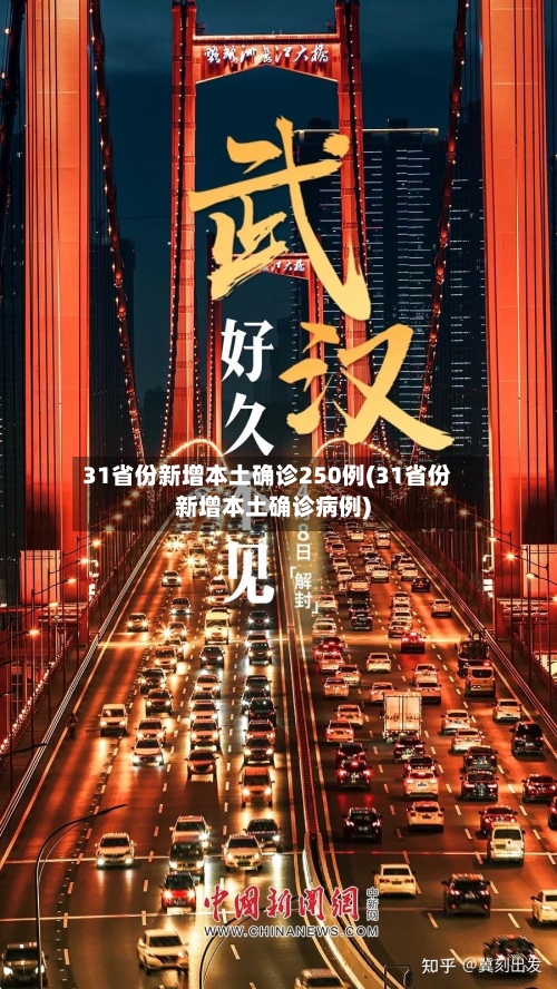 31省份新增本土确诊250例(31省份新增本土确诊病例)-第3张图片