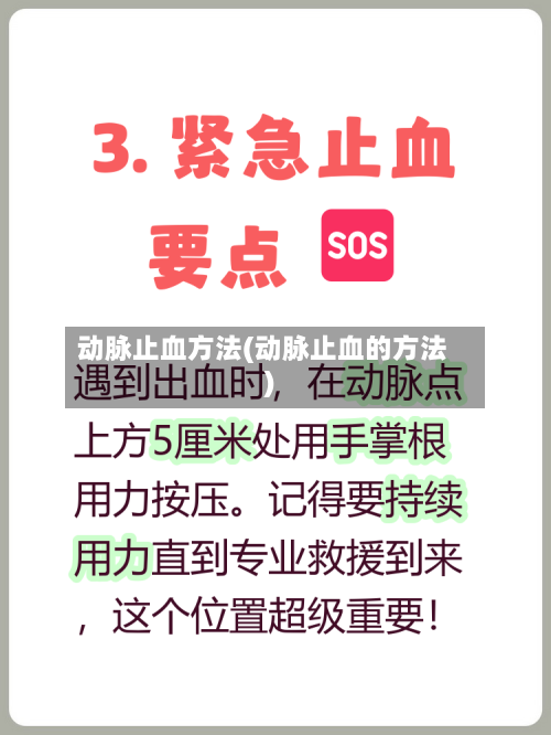 动脉止血方法(动脉止血的方法)-第2张图片