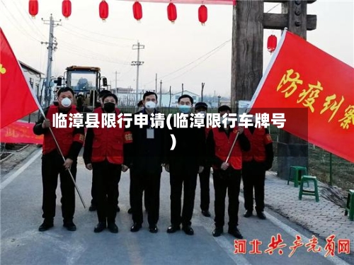 临漳县限行申请(临漳限行车牌号)-第2张图片