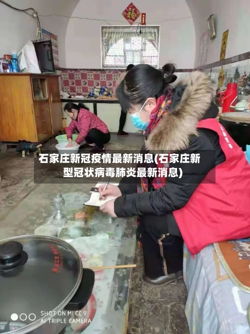 石家庄新冠疫情最新消息(石家庄新型冠状病毒肺炎最新消息)-第2张图片