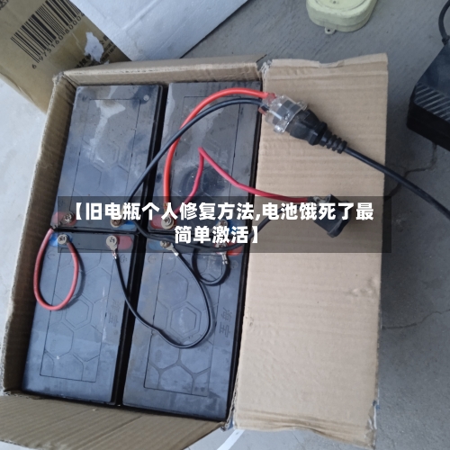 【旧电瓶个人修复方法,电池饿死了最简单激活】