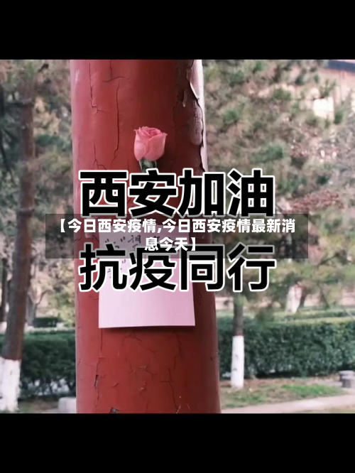 【今日西安疫情,今日西安疫情最新消息今天】-第2张图片