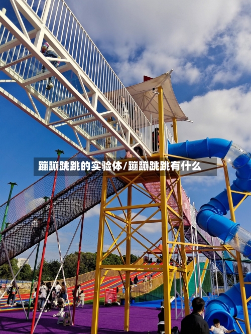 蹦蹦跳跳的实验体/蹦蹦跳跳有什么