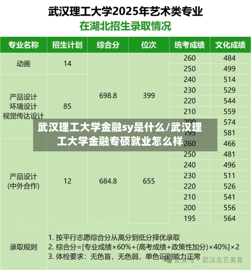 武汉理工大学金融sy是什么/武汉理工大学金融专硕就业怎么样-第3张图片