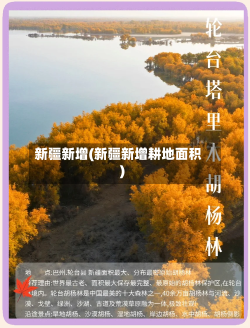 新疆新增(新疆新增耕地面积)