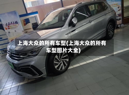 上海大众的所有车型(上海大众的所有车型图片大全)