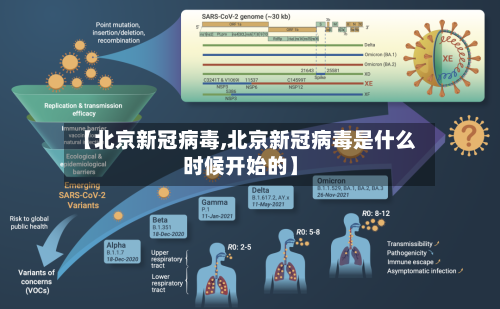 【北京新冠病毒,北京新冠病毒是什么时候开始的】