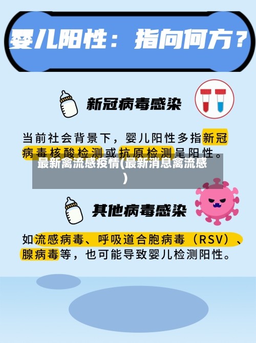 最新禽流感疫情(最新消息禽流感)-第3张图片