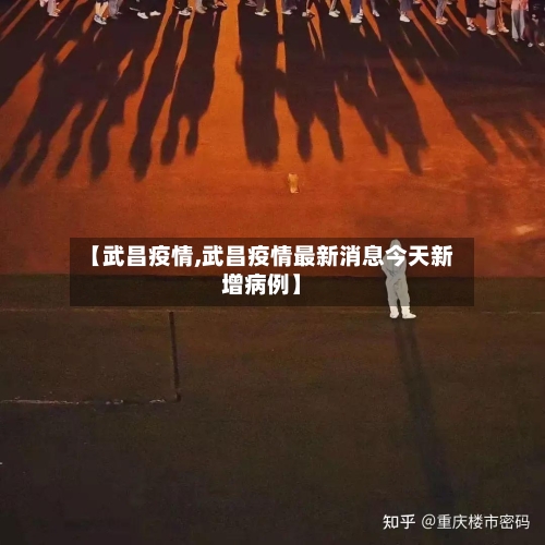 【武昌疫情,武昌疫情最新消息今天新增病例】-第3张图片