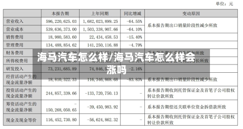 海马汽车怎么样/海马汽车怎么样会涨吗-第2张图片