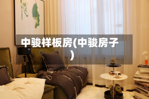 中骏样板房(中骏房子)