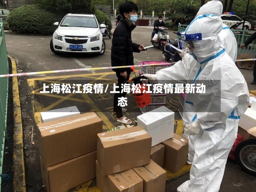 上海松江疫情/上海松江疫情最新动态-第2张图片