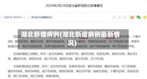 湖北新增病例(湖北新增病例最新情况)-第2张图片