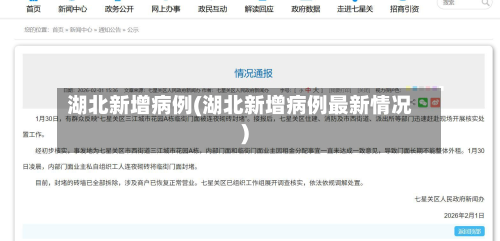 湖北新增病例(湖北新增病例最新情况)-第3张图片