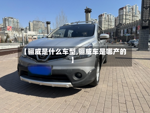 【骊威是什么车型,骊威车是哪产的】-第3张图片