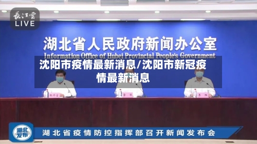 沈阳市疫情最新消息/沈阳市新冠疫情最新消息-第2张图片