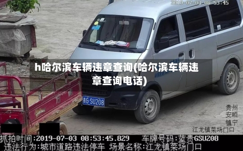 h哈尔滨车辆违章查询(哈尔滨车辆违章查询电话)