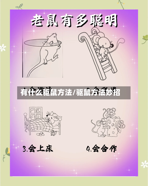 有什么驱鼠方法/驱鼠方法妙招-第2张图片