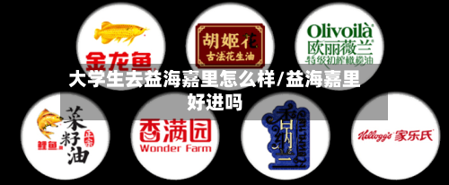 大学生去益海嘉里怎么样/益海嘉里好进吗