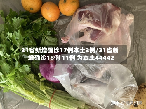 31省新增确诊17例本土3例/31省新增确诊18例 11例 为本土44442