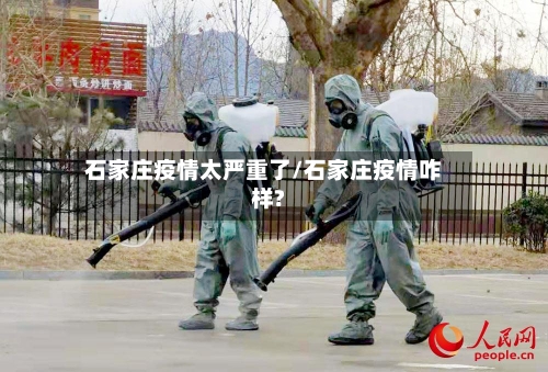 石家庄疫情太严重了/石家庄疫情咋样?-第3张图片