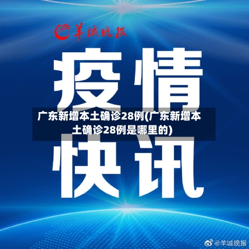广东新增本土确诊28例(广东新增本土确诊28例是哪里的)-第2张图片