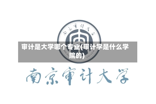 审计是大学哪个专业(审计学是什么学院的)
