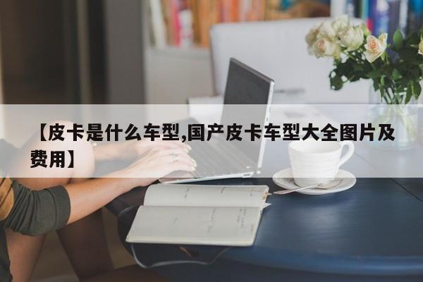 【皮卡是什么车型,国产皮卡车型大全图片及费用】